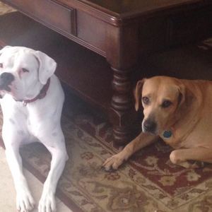 Meet your Posher, Sheryle